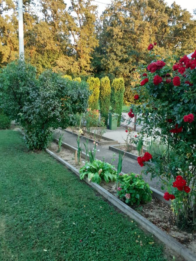 Ferienwohnung Maja Velika Gorica Exterior foto